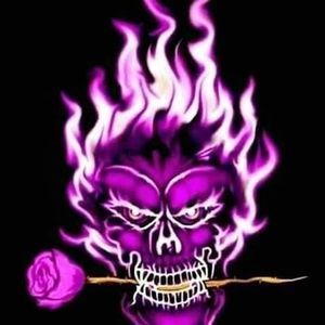 Meet your Posher, Dave